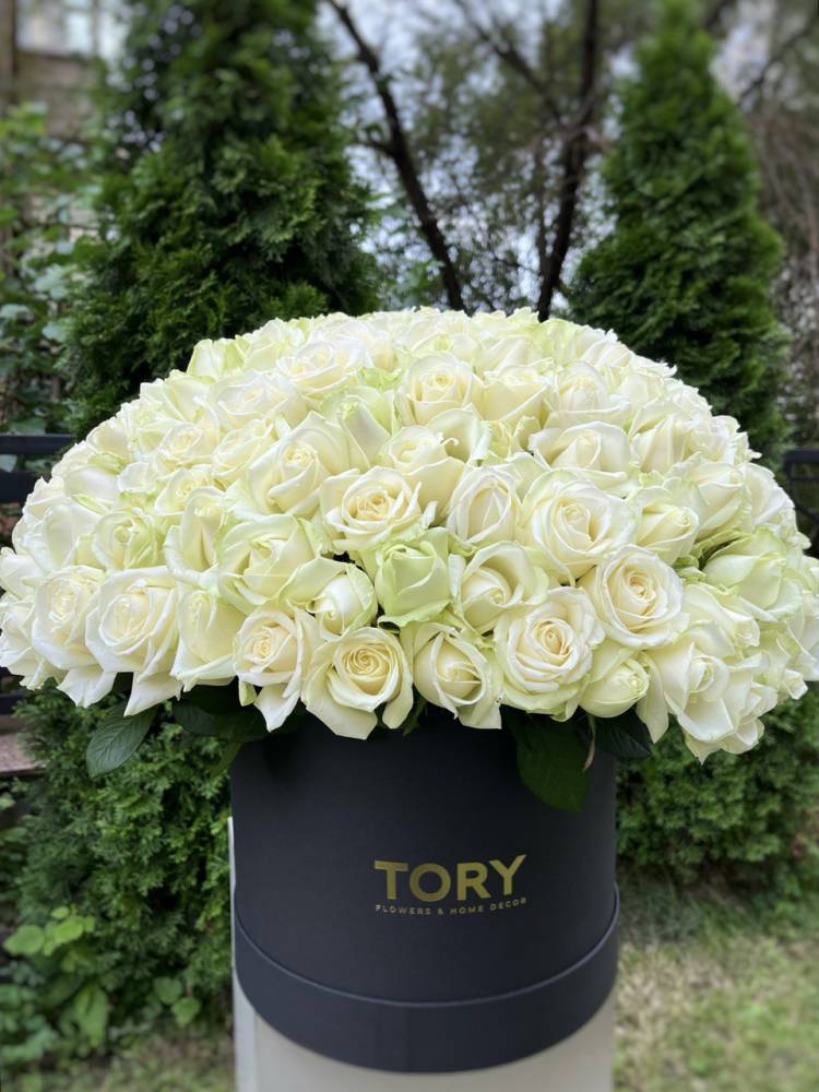 201 white rose in a box